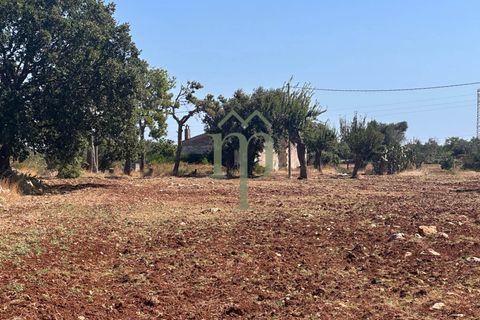 Ruinere i Carovigno, Brindisi, Carovigno - € 385.000 | Ref: Proprietà Pinea - foto 35
